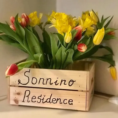 Sonnino *